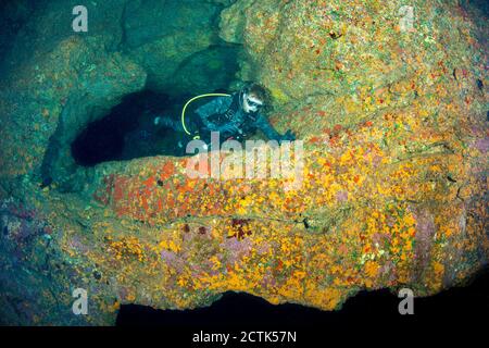 Ein Taucher (MR) erkundet das mit Schwamm verkrustete vulkanische Labyrinth eines Tauchortes namens Second Cathedral vor der Insel Lanai, Hawaii. Stockfoto