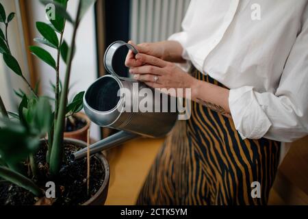 Nahaufnahme der weiblichen Besitzerin, die Topfpflanzen im Café gießt Stockfoto