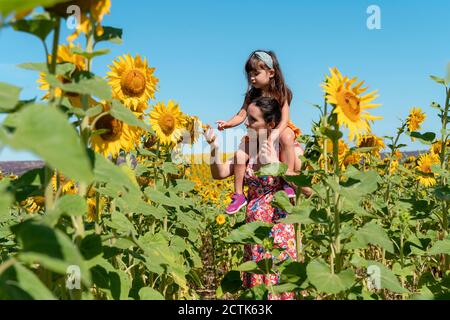 Alleinerziehende Mutter trägt Tochter auf Schultern im Sonnenblumenfeld Stockfoto