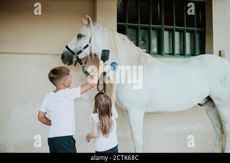 Geschwister putzen weißes Pferd, während sie an der Wand stehen Stockfoto
