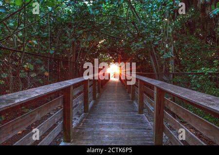 Bluebill Beach Zugang zum Delnor-Wiggins Pass State Park in Naples, Florida Stockfoto