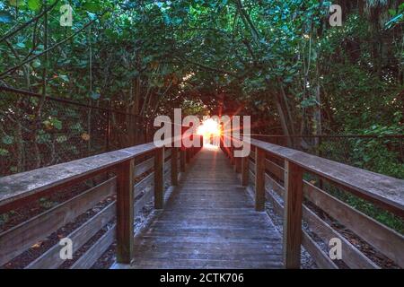 Bluebill Beach Zugang zum Delnor-Wiggins Pass State Park in Naples, Florida Stockfoto