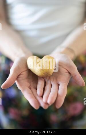 Woman's Hände halten heartshaped Kartoffel Stockfoto