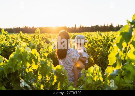 Mutter hält ihre Tochter in einem Weinberg bei Sonnenuntergang in der Provence, Frankreich Stockfoto