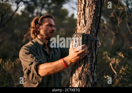 Reifer Mann hält Wanderkamera auf Baumstamm, während stehend Im Wald Stockfoto