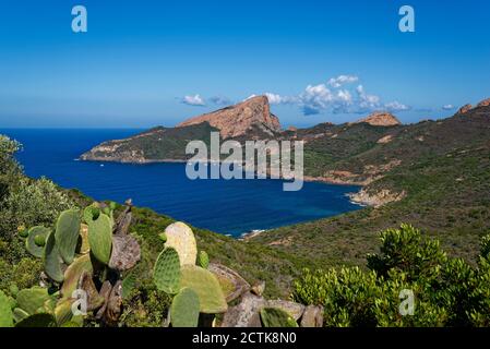 Frankreich, Corse-du-Sud, Piana, landschaftlich schöner Blick auf den Golf von Porto und Calanques de Piana im Sommer Stockfoto