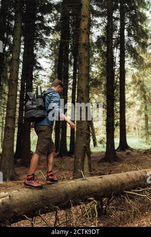Männlicher Wanderer mit Rucksack, der auf Holzstäben gegen Bäume läuft Waldgebiet Stockfoto