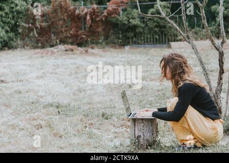 Frau hocken, während mit Laptop auf Baumstumpf im Park Stockfoto