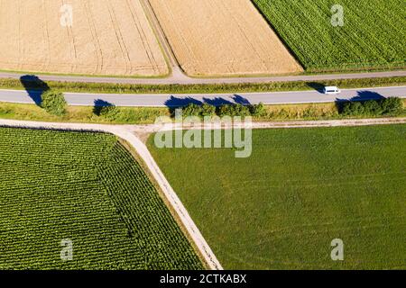 Luftaufnahme der Landstraße, die sich zwischen Weizen und Mais erstreckt Felder im Sommer Stockfoto