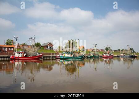 Deutschland, Niedersachsen, Krummhorn, Garnelenboote liegen in Greetsiel Stockfoto