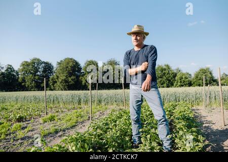 Nachdenklicher Mann schaut weg, während er gegen klaren blauen Himmel steht Im landwirtschaftlichen Bereich Stockfoto