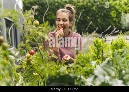 Glückliche junge Frau, die Kirschtomate inmitten von Pflanzen in der Gemeinschaft isst Garten Stockfoto