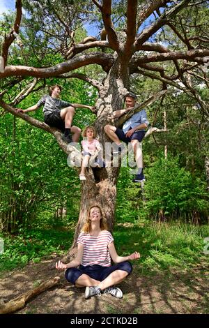 Mann mit Kindern, die spielen, während Mutter unter Baum meditiert Wald Stockfoto