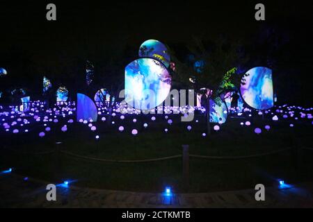 Das Beijing International Light Festival 2020 ist ein gemeinsam lebendes Licht im Freien Immersive Experience Ausstellung eröffnet am Donnerstag in Peking Yuyuantan Pa Stockfoto