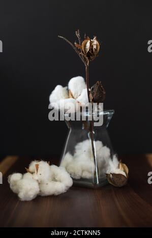 Hoch kontrastiert in Low-Key Blitz Foto von einer Baumwolle Blumen In einer Vase über dem schwarzen Hintergrund Stockfoto