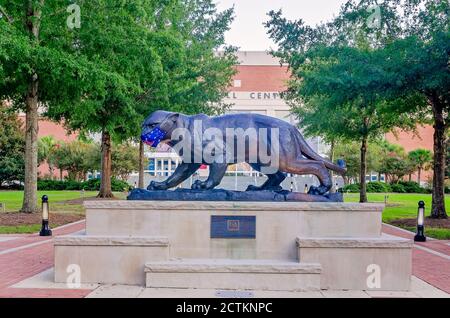 Das Maskottchen der University of South Alabama, der jaguar, trägt eine Maske, um COVID-19, 22. August 2020, in Mobile, Alabama zu verhindern. Stockfoto