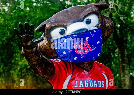 Das Maskottchen der University of South Alabama, der jaguar, trägt eine Maske, um COVID-19, 22. August 2020, in Mobile, Alabama zu verhindern. Stockfoto