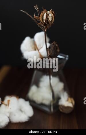 Der weich fokussierte Zweig einer Baumwollblume in einer Glasvase auf einem Holztisch über dem schwarzen Hintergrund. Vertikale hoch kontrastierte Foto in einem Low-Key-LIGH Stockfoto