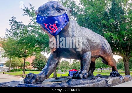 Das Maskottchen der University of South Alabama, der jaguar, trägt eine Maske, um COVID-19, 22. August 2020, in Mobile, Alabama zu verhindern. Stockfoto