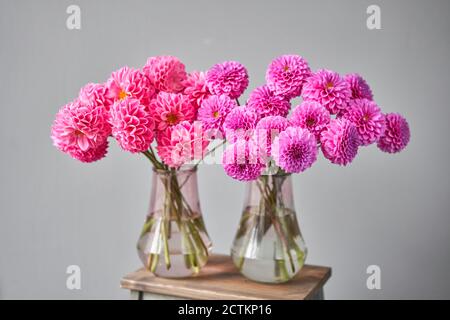 Lila und rosa Dahlien in Glaskrug, neutraler Wandhintergrund. Die Arbeit des Floristen in einem Blumenladen. Schönes frisches Bouquet. Lieferung von Blumen Stockfoto
