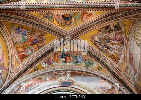 Orvieto, Region Umbrien, Italien. Decke des doms von Orvieto in der Kapelle der Madonna di San Brizio, erbaut 1408 – 1444. Stockfoto