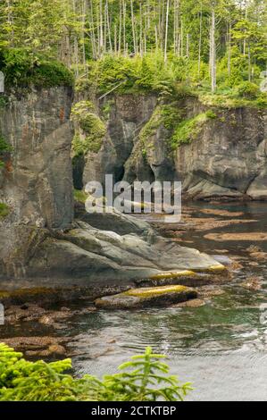 Makah Indianerreservat in der Nähe von Neah Bay, Washington, USA. Blick auf den Pazifischen Ozean vom Cape Flattery Trail. Stockfoto