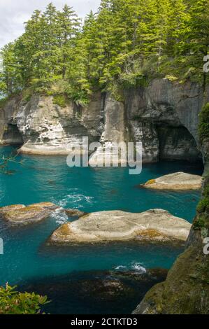 Makah Indianerreservat in der Nähe von Neah Bay, Washington, USA. Blick auf den Pazifischen Ozean vom Cape Flattery Trail. Stockfoto