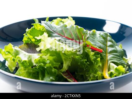 Verschiedene Salatblätter auf einem Teller Stockfoto