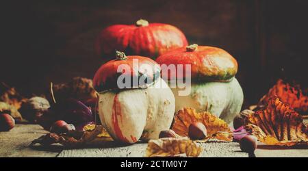 Herbstkonzept. Dekorative Kürbispilze auf einem Vintage-Holzhintergrund mit gefallenen Blättern und Nüssen, selektiver Fokus und getöntem Bild Stockfoto