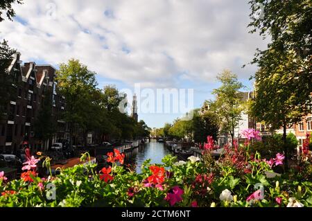 Perspektivischer Blick auf einen Kanal in Amsterdam mit Hausbooten, die auf beiden Seiten festgemacht sind. Im Vordergrund gibt es eine bunte Blumenarrangements. Stockfoto