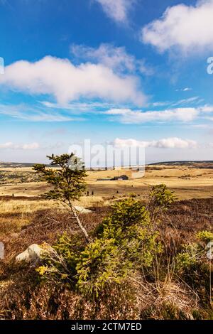 Blick auf die Hütte Lucni Bouda am sonnigen Herbsttag im Riesengebirge, Nationalpark Riesengebirge, Tschechische Republik. Stockfoto