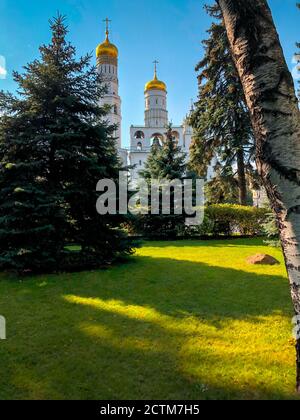 Ivan der große Glockenturm im Sommer an einem sonnigen Tag. Moskau. Kreml. Stockfoto