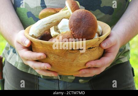 Männer halten Schüssel mit Steinpilzen auf grünem Hintergrund, Nahaufnahme Stockfoto