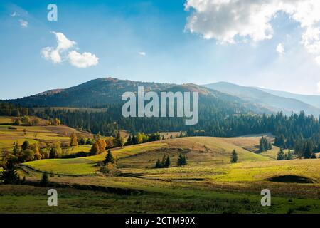 Bergige ländliche Landschaft im Herbst Saison. Bäume und Felder auf sanften Hügeln. Schöne Landschaft am Nachmittag Landschaft an einem sonnigen Tag Stockfoto