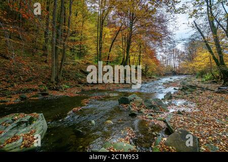 Kleiner Waldbach. Schöne Herbstlandschaft. Bäume in bunten Laub. Felsen im Wasser Stockfoto
