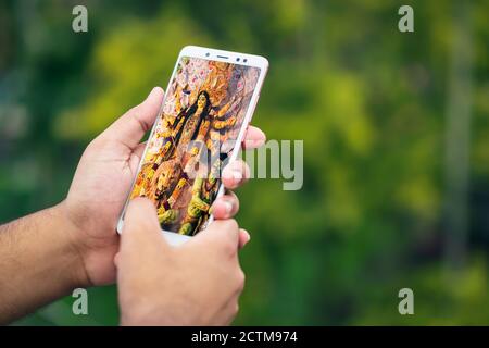 Durga Puja Erinnerungen in der Zeit der Corona-Virus-Pandemie. Männliche Hand hält Smartphone und scrollt durch alte Puja Fotos. 2020 Durga Puja celebrat Stockfoto