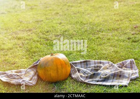 Ein großer orangefarbener Kürbis und ein kariertes Karomoniertes auf einem Hintergrund von Herbstgras. Herbsthintergrund. Speicherplatz kopieren. Stockfoto