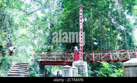 Bogor, Indonesien - 20. Oktober 2019: Besucher des Botanischen Gartens Bogor fotografieren auf der Hängebrücke (jembatan gantung). Stockfoto