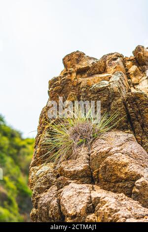 Nahaufnahme hell leuchtend orange braun gelb Stein Felsen schäbig Klippe Risse Textur Berge. Konzept der Geologie, Schönheit Kraft in der Natur. Natürlich Stockfoto