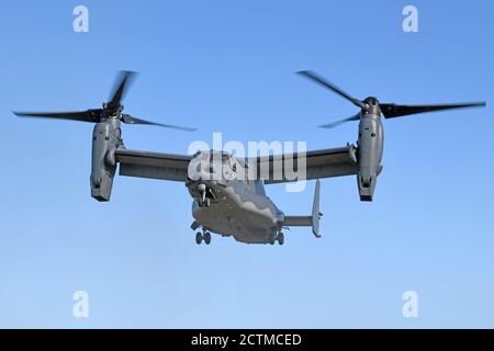 Ein US Air Force CV-22 Osprey, der dem 352d Special Operations Wing, Royal Air Force Mildenhall, England, zugewiesen wurde, bereitet sich auf die Landung in der Nähe von Winnyzia, Ukraine, am 21. September 2020 vor. Die 352d SOW, die in die Ukraine entsandt wurde, um ihr Engagement für die Schwarzmeerregion zu demonstrieren, die Fähigkeiten der Ukraine Special Operations Forces zu unterstützen und die Rekrutierungsbemühungen durch verschiedene Schulungsmaßnahmen zu verstärken. (USA Luftwaffe Foto von Staff Sgt. Mackenzie Mendez) Stockfoto