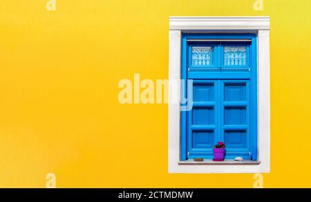 Brightliy malte blaue Fensterläden und einen violetten Pflanzentopf auf einer gelben Wand in Oia, Santorini, Griechenland Stockfoto