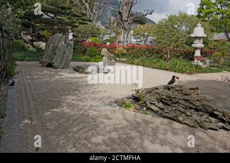 Japanischer Garten oder Jardin Japonais ist eine städtische öffentlichen Park in Monte Carlo in Monaco Stockfoto