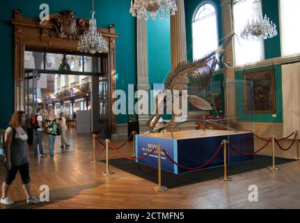 Monaco Oceanographic Museum Wellcome, sagt der jurassic Kreatur. Skelett eines Ophthalmosaurus. Es war ein Ichthyosaurier in der mittleren Jurassic Periode. Stockfoto