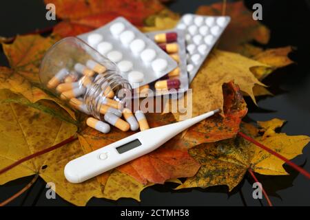 Thermometer und Pillen auf gelben und roten Ahornblättern, Flasche Kapseln und Blister Packung Tabletten. Konzept der fiebersenkenden, Vitamine für die Immunität Stockfoto