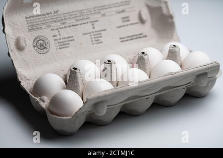 Zehn rohe weiße Eier in einer Schachtel Stockfoto