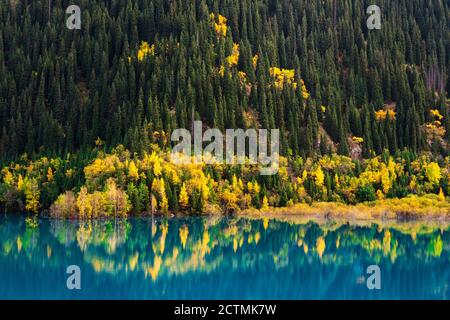 Bergsee Issyk. Herbststimmung. Vergilbte Bäume spiegeln sich im türkisfarbenen Wasser Stockfoto