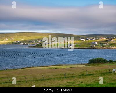 Die abgelegene Gemeinde Mid Yell auf der Insel Yell in Shetland, Schottland, UK - im Vordergrund steht eine Muschelfarm aus Seil. Stockfoto