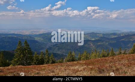 Panoramablick über die Ausläufer des Schwarzwaldes, Deutschland mit den Dörfern Münstertal und Staufen im Breisgau sowie Rheintal im Hintergrund. Stockfoto