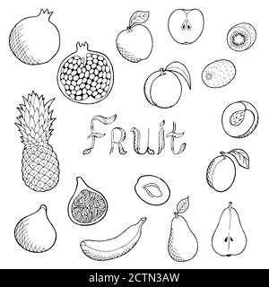 Obst Lebensmittel Grafik Kunstset schwarz weiß isoliert Illustration Vektor Stock Vektor