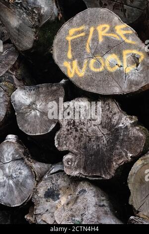 Gestapelte Holzstämme für Brennholz Stockfoto